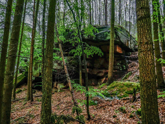 Landstuhl Mai 2017 